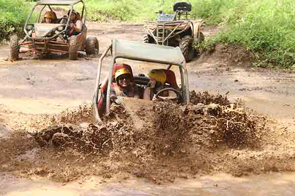 jungle buggy tour